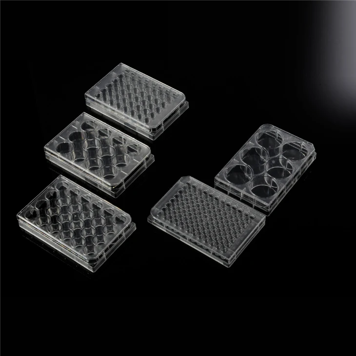 6well 12 Well 24 Well Well Well Well Cell Tissue Cell Culture Plates