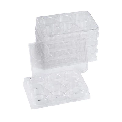 48 Pelat Kultur Sel Sumur Pelat Lab Disposable TC-treated Clear