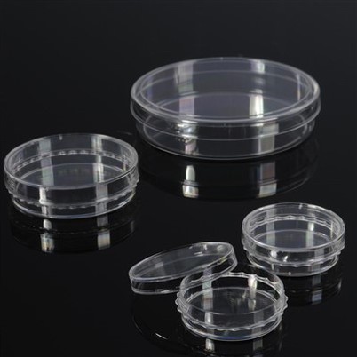 Hidangan Kultur Sel Bebas DNase & RNase yang Diobati TC