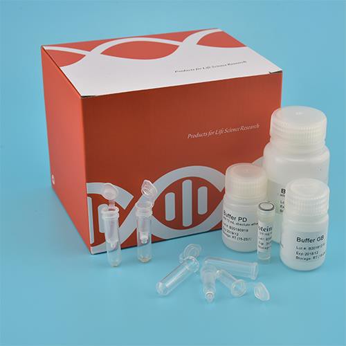 Kit DNA Genomic Swab Buccal (Spin Column)