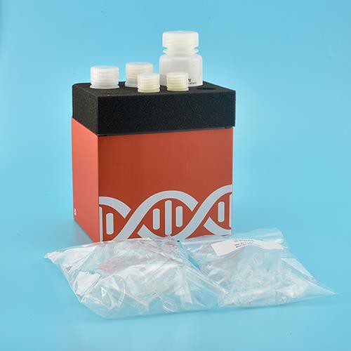 Kit DNA Pemurnian Gel (Spin Column)