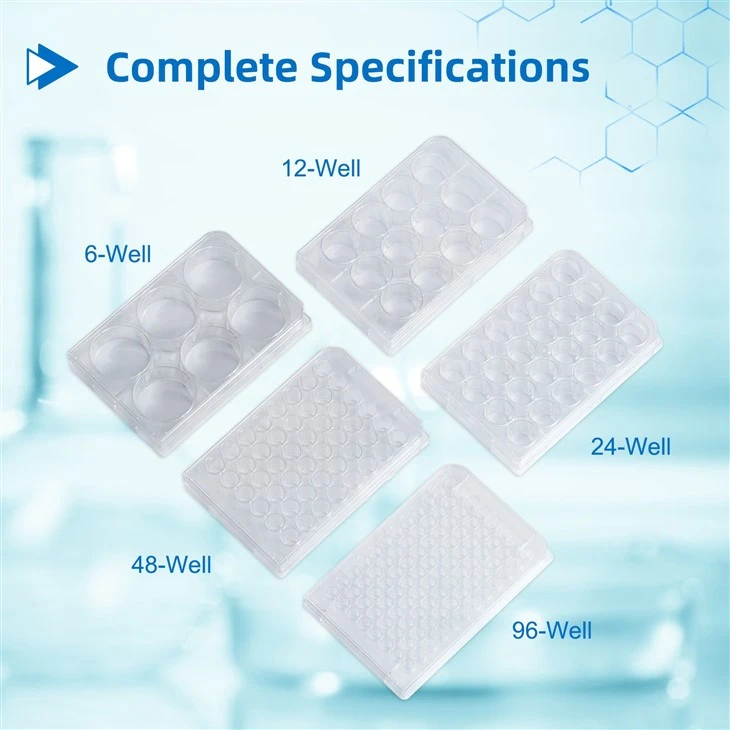 12 Well Plastic Tissue Culture Plate Disposable TC Treated Lab Consumables Cell Culture Plate