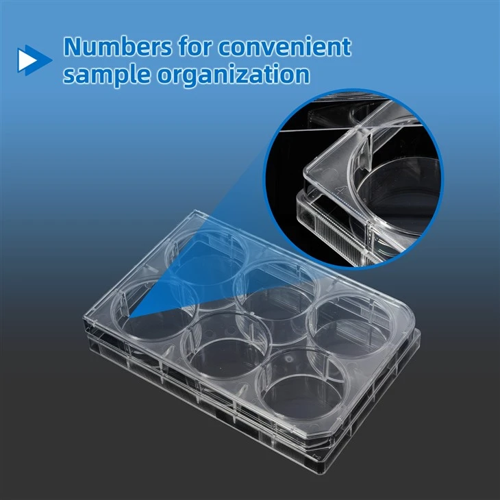 12 Well Plastic Tissue Culture Plate Disposable TC Treated Lab Consumables Cell Culture Plate