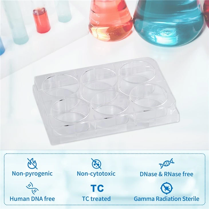 6well 12 Well 24 Well 48 Well 96 Well Tissue Cell Culture Plates